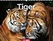 Tiger 2009