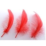 ���i�̏ڍ�