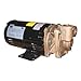 DAYTON 4JPD8 Turbine Pump, 3/4 HP, 3 Ph, 2.5/1.2 Amp