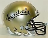 Illinois Riddell Mini Helmet