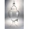 Beverage Dispenser Jug with Spout