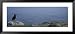 Atlantic Puffin Perching on a Rock, Maberly, Newfoundland and Labrador, Canada Framed Art Poster Print by Panoramic Images, 51x23