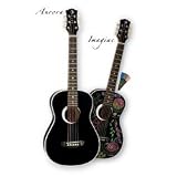 Luna Aurora Imagine Mini Acoustic Guitar, Black