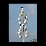 19' Aluminum Double Spiral Purple Martin Pole Kit With 16 Gourds