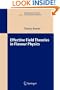 Effective Field Theories in Flavour Physics (Springer Tracts in Modern Physics)