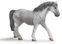 Lipizzaner - Mare