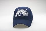 Penn State Nittany Lions DHS Logo Lion Exact Fit