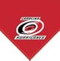 NHL Carolina Hurricanes Fleece Throw Blanket