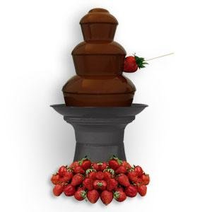 Fondue Fountain By Fundue Foods by Fundue Foods