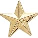Small Gold Star Pin - 3/8 Inch (Pack Of 100)