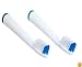 Waterpik DTB-2 SynchroSonic Replacement Brush Heads (Pack of 2)