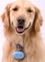 Doggles Wearable Ionizer