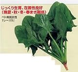 ウィンダム［ほうれん草］小袋