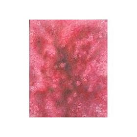 Adorama Belle Drape Abstract Art Series, 10' x 12' Painted Muslin Background, Style #263. Color: Pink Rose Bush
