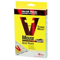Mouse Trap: Catch Master Glue Traps - 4 pk by Catchmaster
