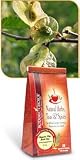 Botanic Choice Herbal Remedies Slippery Elm Bark