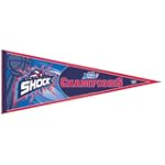Detroit Shock 2006 WNBA Champions Pennant