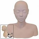 Celebrity Lisa Massage Training Head