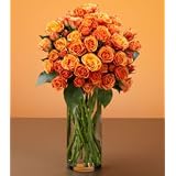 Roses- Orange Spray Roses