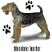 Airedale Terrier Adult T-Shirt