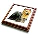 Dogs Yorkshire Terrier - Yorkshire Terrier - Trivets