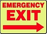EMERGENCY AND FIRE E EMERGENCY EXIT (ARROW RIGHT) 10