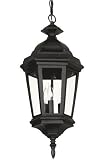 Estate Outdoor Hanging Lantern, 21 � Hx9 � D, BLACK - B0000CNSUH