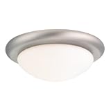 Sea Gull Lighting 16148BL 965 Ceiling Fan Light Kit Antique Brushed Nickel Finish 31YWHsov2RL. SL160 Sea Gull Lighting 16148BL 965 Ceiling Fan Light Kit Antique Brushed Nickel Finish