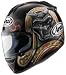 Arai Vector Shogun Graphic Full Face Motorcycle Riding Race Helmet- Black