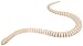 Darice 9192-09 Wood Wiggle Snake with Tag, Natural