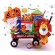 Baby Einstein Wild Wilderness Gift Basket
