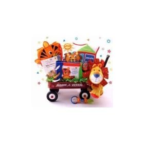 Baby Einstein Wild Wilderness Gift Basket