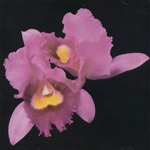 CD-Charts  Music : Orchid
