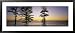 Silhouette of Trees at Dawn, Manly Beach, Sydney, New South Wales, Australia Framed Art Poster Print by Panoramic Images, 43x19