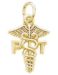 Rembrandt Charms Physical Therapist Charm