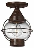 Hinkley 2203SZ Flush Outdoor