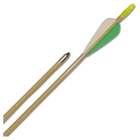 Deluxe Glass Target Archery Arrows- 72 Pack by Cajun Archery