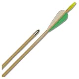Deluxe Glass Target Archery Arrows- 144 Pack