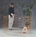 Midwest Gold- Zinc Indoor/Outdoor Exercise Pet Pen, 24