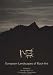 Book European Landscapes of Rock-Art