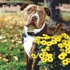 American Pit Bull Terriers 2009 Wall Calendar