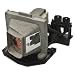 Electronics : Optoma BL-FP200F - Projector lamp - P-VIP - 200 Watt