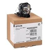Epson v13h010l21