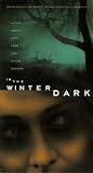 In the Winter Dark