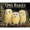The Owl's Favs