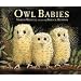 Owl Babies