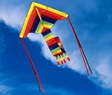 Super Rainbow Flyer