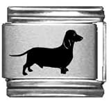 Clearly Charming Dachshund Laser Italian Charm