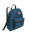 Dickies Mini Basic Backpack