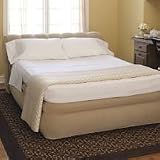 Aerobed with Raised Headboard by